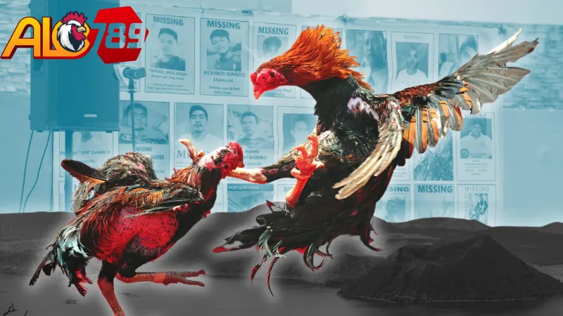 Luật Thi Đấu Và Tính Điểm Chính Thức